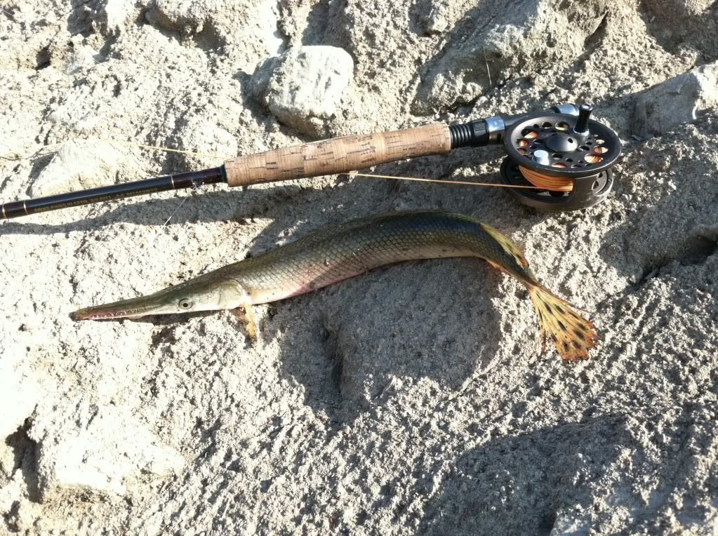 Justin And Fish First Gar and Grass Carp On The Fly